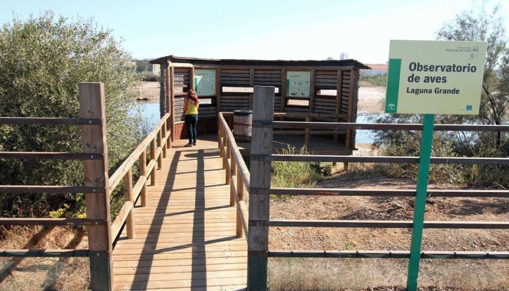 Ejemplo de observatorio de aves