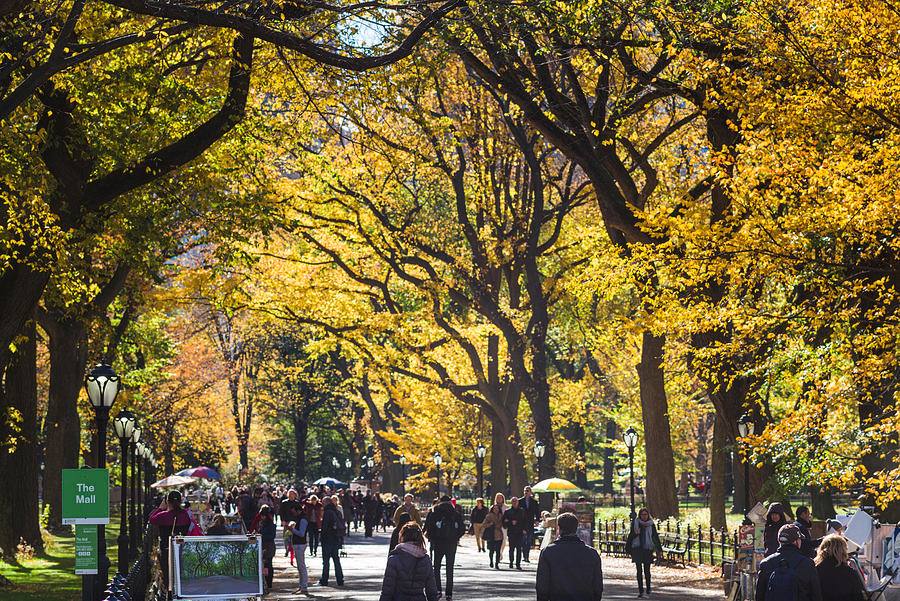 Central Park, Nueva York
