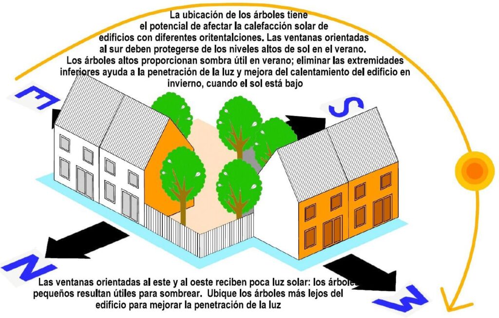 la ubicación de los árboles y su efecto en la calefacción