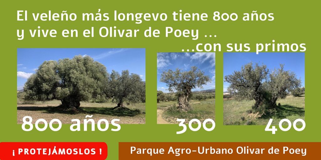 pancarta movilizacion olivar poey parque