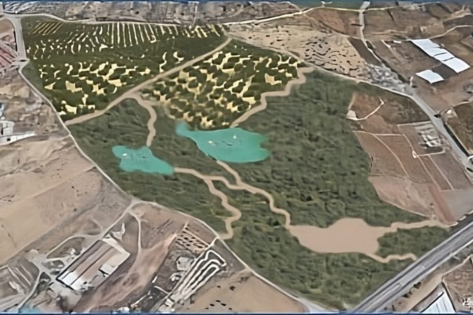 Simulación del Parque Forestal Periurbano: Las Campiñuelas del Algarrobal”